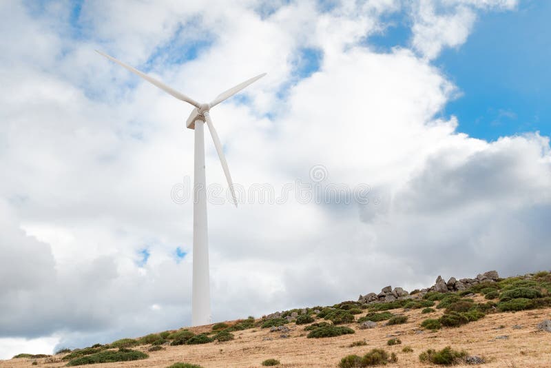 Power plant with wind turbines in open field background royalty free stock photo