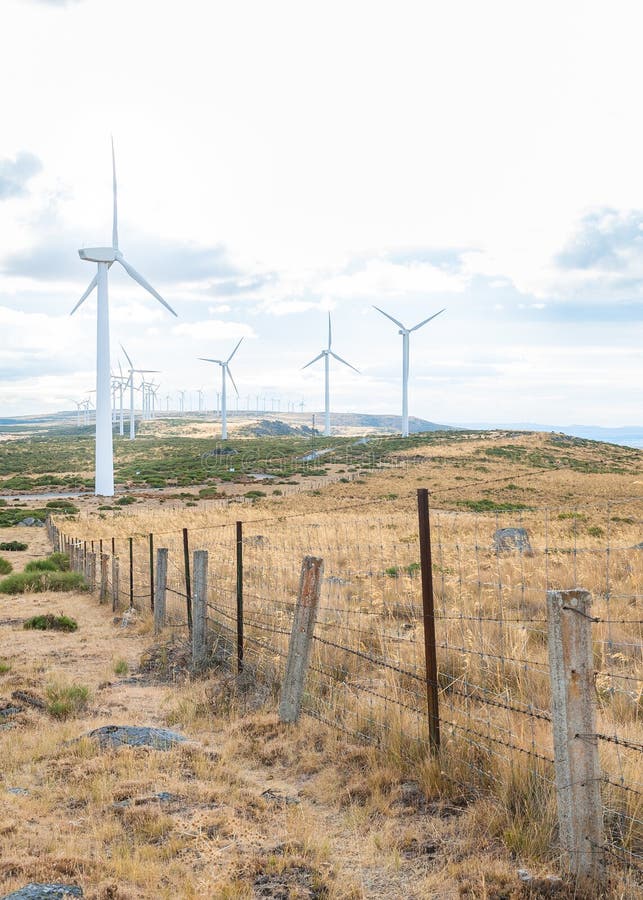 Power plant with wind turbines in open field background royalty free stock image