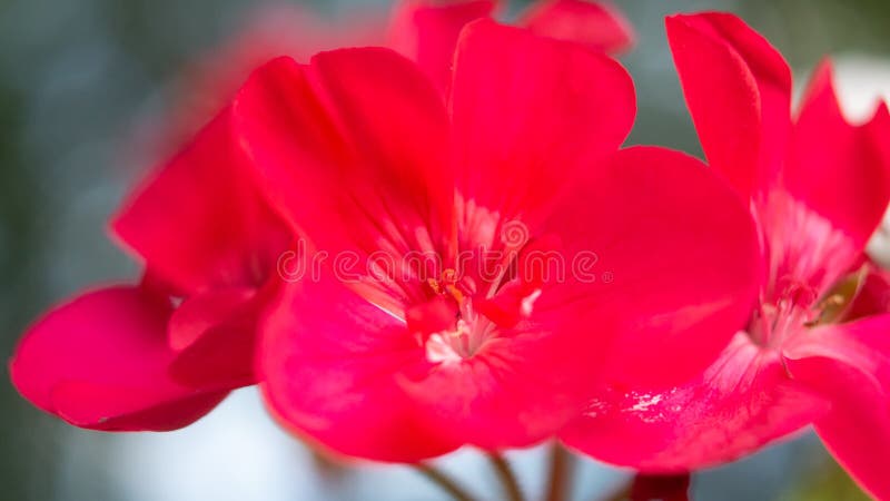 1 064 Action Potential Photos Free Royalty Free Stock Photos From Dreamstime 1 064 Action Potential Photos Free Royalty Free Stock Photos From Dreamstime