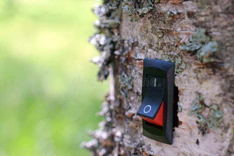 the first tree switch review download free the first tree switch review download free