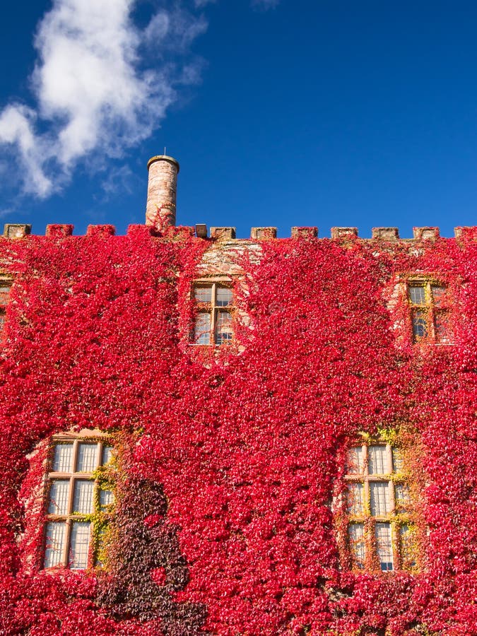 Stately Home Castle in Autumn