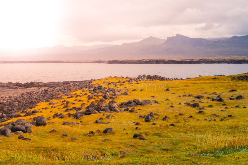 Powulkaniczny krajobraz z zielonymi równinami i skalisty wybrzeże w Snaefellsnes półwysepie, Iceland zdjęcia stock Powulkaniczny krajobraz z zielonymi równinami i skalisty wybrzeże w Snaefellsnes półwysepie, Iceland zdjęcia stock