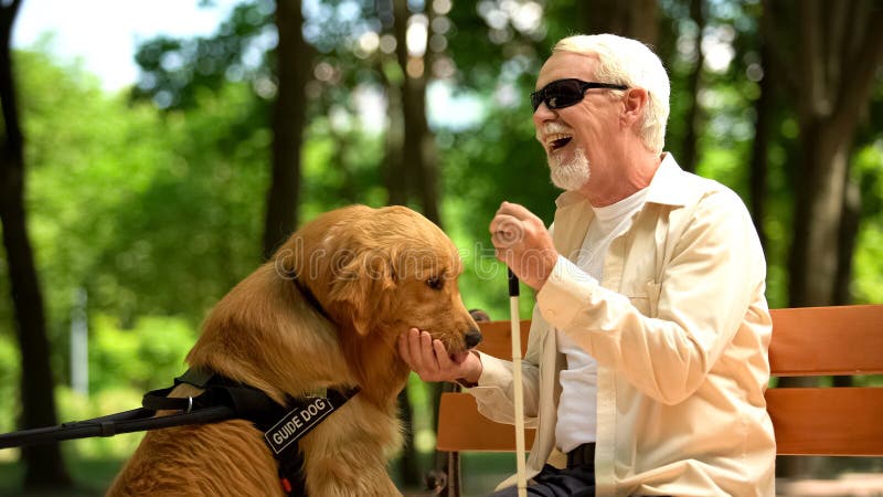 Pozytywny niewidomy człowiek karmiący psa przewodnika, siedzący w parku, pożywny pokarm dla psów