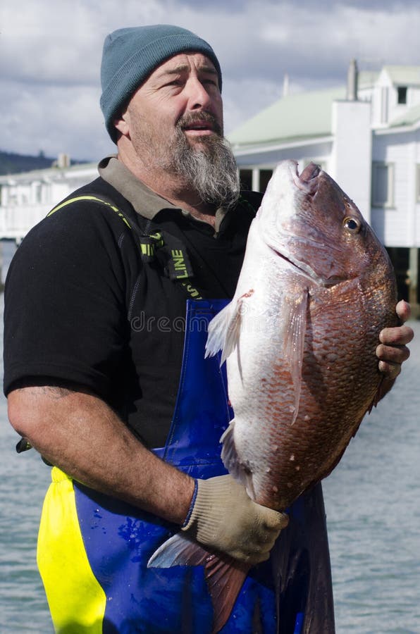 MANGONUI, NZ - JULY 25:Fisherman holds very large Snapper on July 25 2013.NZ exclusive economic zone covers 4.1 million km2,It's the 6th largest zone in the world and 14 times the size of NZ. MANGONUI, NZ - JULY 25:Fisherman holds very large Snapper on July 25 2013.NZ exclusive economic zone covers 4.1 million km2,It's the 6th largest zone in the world and 14 times the size of NZ.