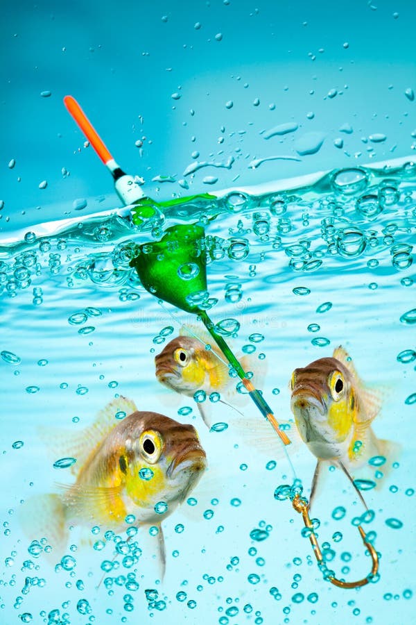 Fishing, float under water and fish. Fishing, float under water and fish
