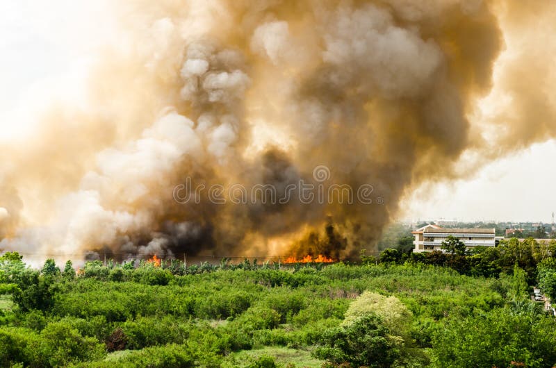 Pożary lasu w mieście na gorącym oversupply Strażak pomagać pośpieszać zapobiegać ogienia rozprzestrzeniającego wioska