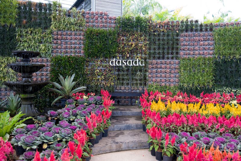 Prachinburi, Thailand-January11,2018: Belle esposizioni della pianta e del fiore alla galleria di Dasada fotografia stock Prachinburi, Thailand-January11,2018: Belle esposizioni della pianta e del fiore alla galleria di Dasada fotografia stock