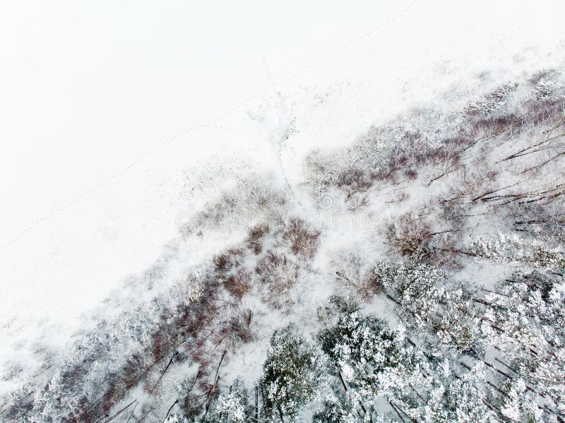 Prachtige luchtfoto van de sneeuw bedekte dennenbossen rond het Gela-meer Kalkijs en havervorst bedekken bomen Scenisch landschap royalty-vrije stock foto Prachtige luchtfoto van de sneeuw bedekte dennenbossen rond het Gela-meer Kalkijs en havervorst bedekken bomen Scenisch landschap royalty-vrije stock foto