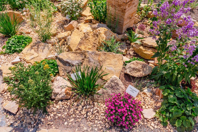 Beautiful landscaped natural garden with plants, succulents, rocks and stones. Beautiful landscaped natural garden with plants, succulents, rocks and stones.