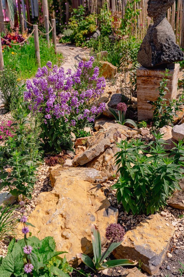 Beautiful landscaped natural garden with plants, succulents, rocks and stones. Beautiful landscaped natural garden with plants, succulents, rocks and stones.