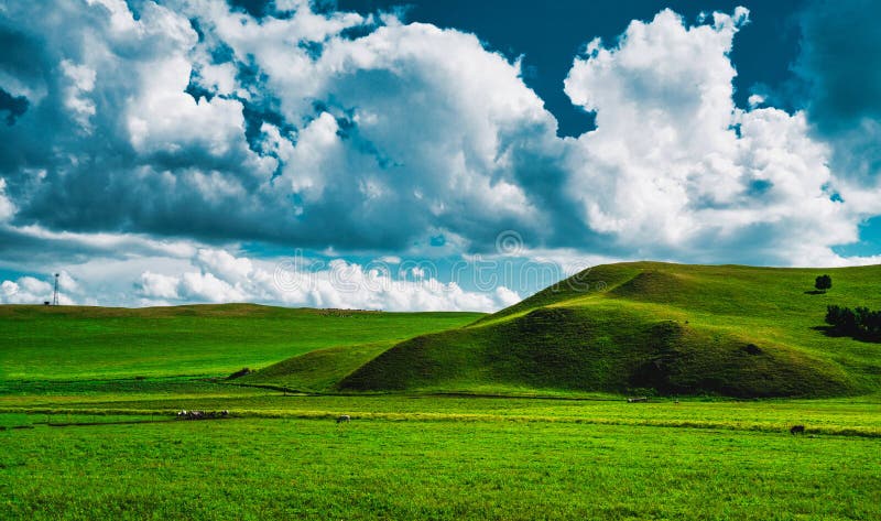 Praderas De Colinas Y Cielo Azul Foto de archivo - Imagen de prado