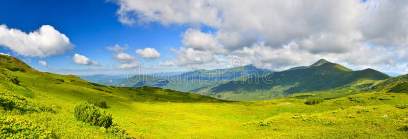 Prado alpino foto de stock Prado alpino foto de stock