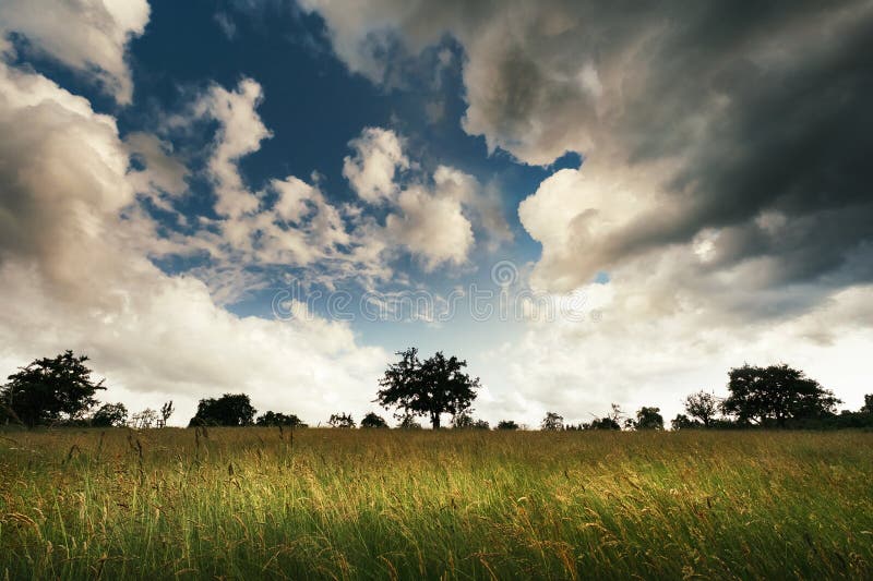 Prado com erva alta e nuvens dramáticas no horizonte fotografia de stock