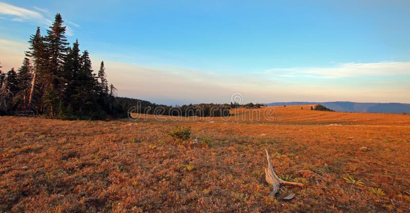 Prado con el registro muerto en la salida del sol en Sykes Ridge en las montañas de Pryor en Montana imágenes de archivo libres de regalías Prado con el registro muerto en la salida del sol en Sykes Ridge en las montañas de Pryor en Montana imágenes de archivo libres de regalías