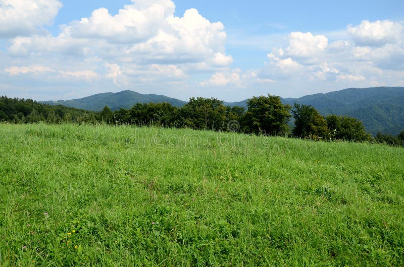 Prado da montanha foto de stock royalty free