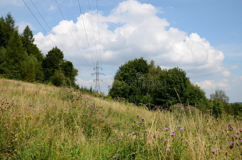 Prado da montanha fotos de stock