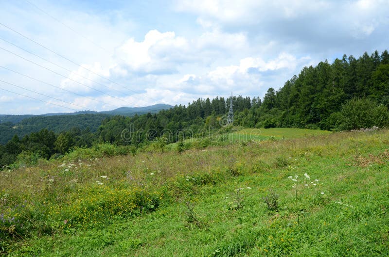 Prado da montanha foto de stock