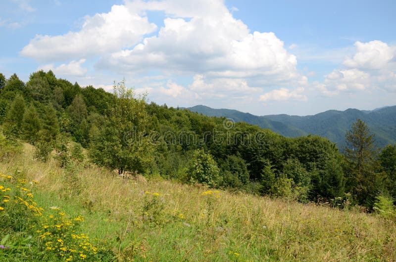 Prado da montanha foto de stock royalty free