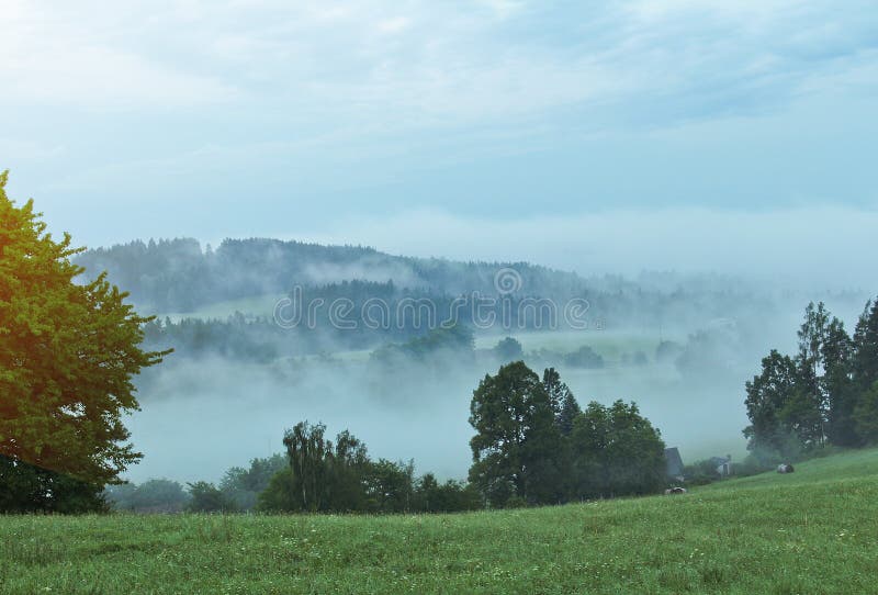 Prado en niebla de la mañana con los árboles y la luz anaranjada, landsca checo imagen de archivo Prado en niebla de la mañana con los árboles y la luz anaranjada, landsca checo imagen de archivo