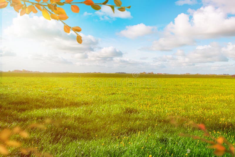 Prado verde hermoso Paisaje del otoño Cielo azul nublado Bandera del fondo ilustración del vector Prado verde hermoso Paisaje del otoño Cielo azul nublado Bandera del fondo ilustración del vector