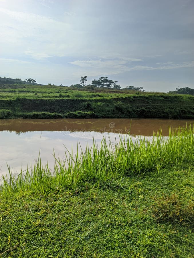 Prado verde sereno junto a un río lodoso bajo el cielo azul y un paisaje natural tranquilo perfecto para los antecedentes o proyec fotos de archivo libres de regalías