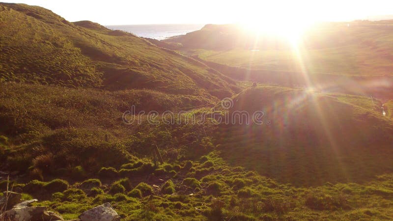 Prados bonitos na luz da noite de um por do sol na Irlanda imagens de stock Prados bonitos na luz da noite de um por do sol na Irlanda imagens de stock