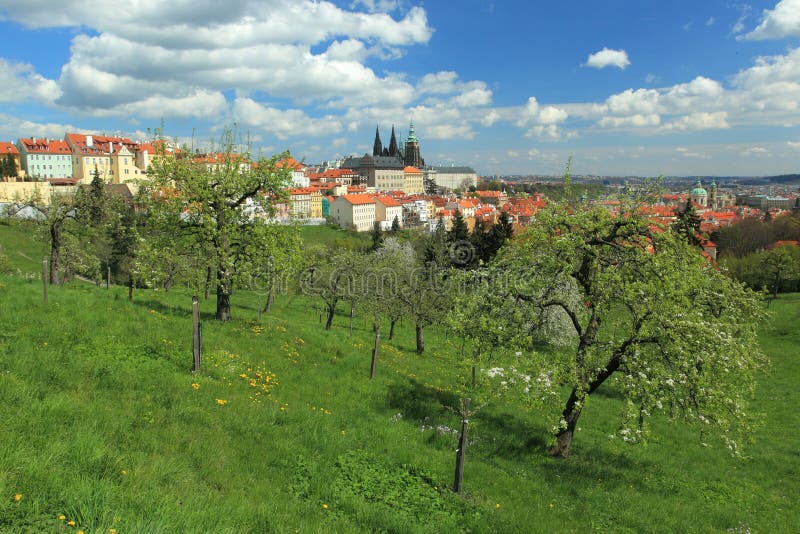 Praga in primavera fotografia stock libera da diritti Praga in primavera fotografia stock libera da diritti