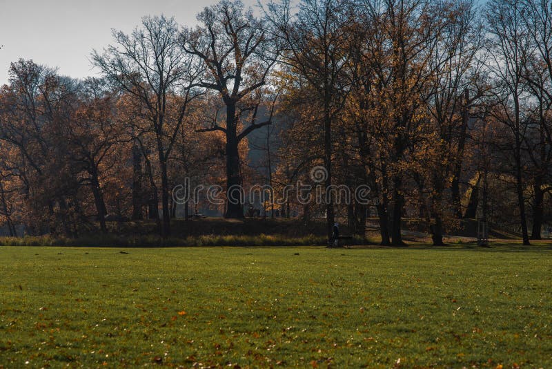 Prague, Czech Republic - 11-11-2020 - An autumn day at Park Stromovka