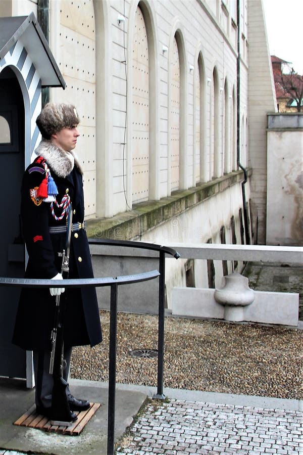 Prague Tjeckien, Januari 2015 En soldat av den tjeckiska vakten på stolpen av den kungliga slotten arkivbilder Prague Tjeckien, Januari 2015 En soldat av den tjeckiska vakten på stolpen av den kungliga slotten arkivbilder