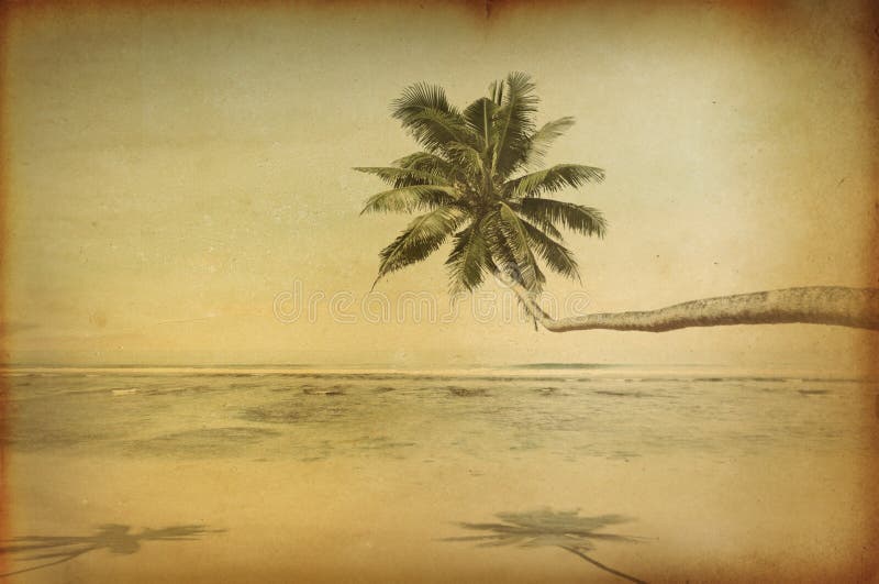 Praia bonita tropical retro com palmeira ilustração royalty free Praia bonita tropical retro com palmeira ilustração royalty free