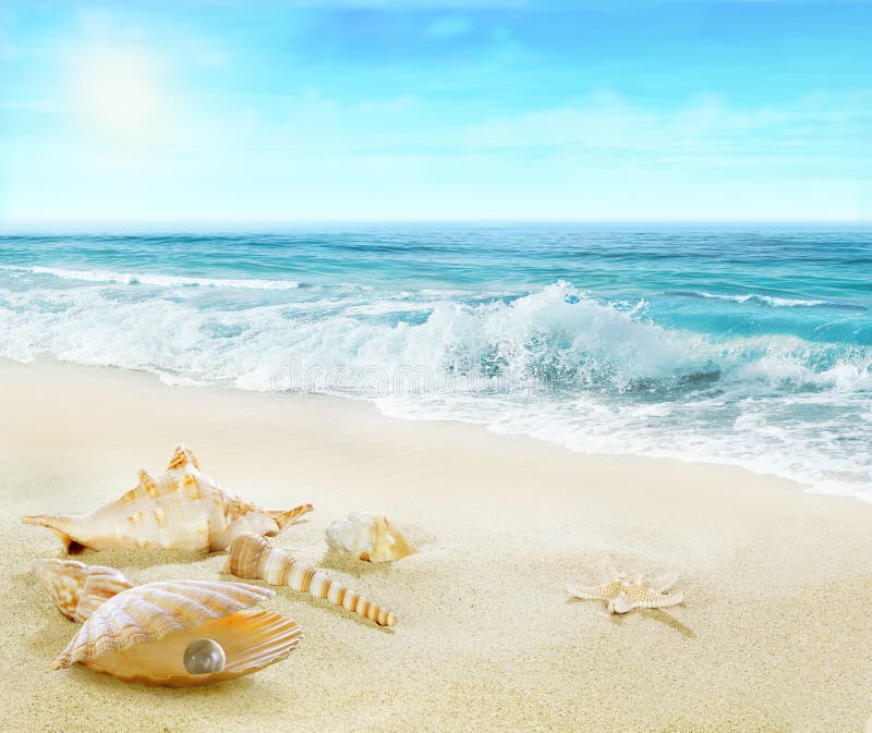 Praia com shell e pérola