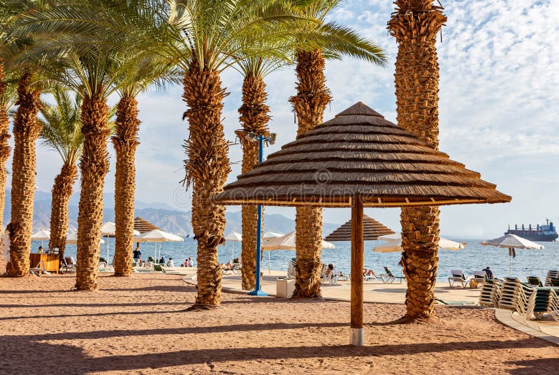 Praia da areia de Eilat sobre o Mar Vermelho fotografia de stock Praia da areia de Eilat sobre o Mar Vermelho fotografia de stock