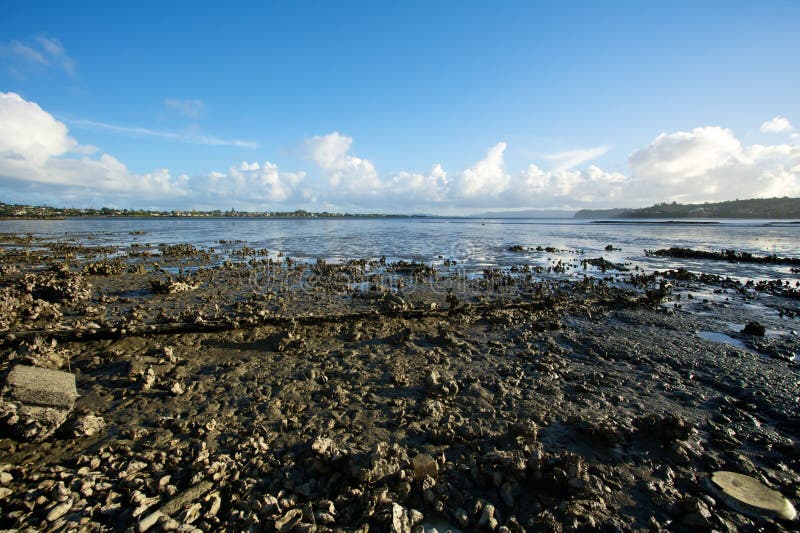 Maré Baixa Na Baía De Fundy Com Formações De Rocha Fascinantes - Canadá  Foto de Stock - Imagem de maré, paisagem: 124843128