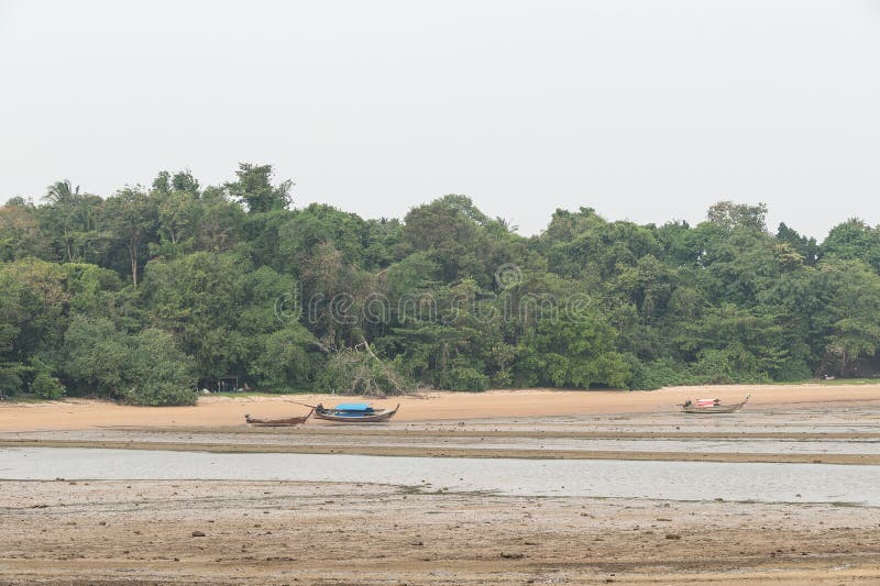 Praia de Conchas Fósseis imagem de stock