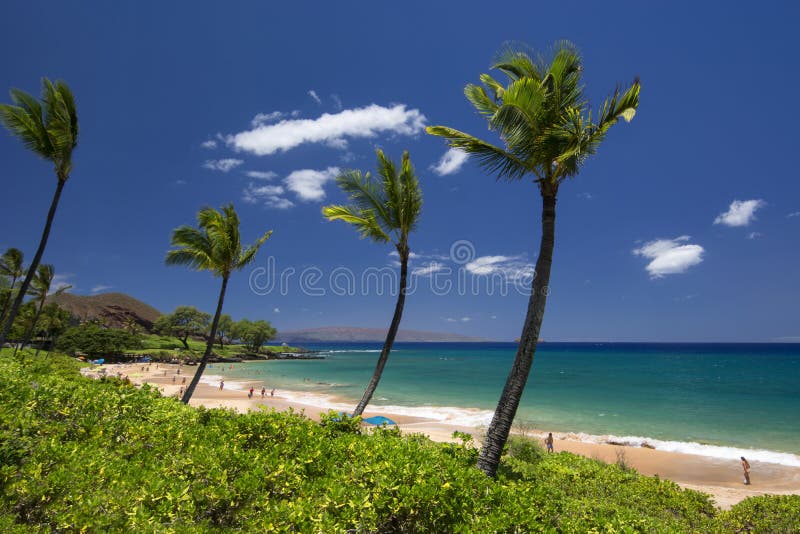 Praia de Maluaka, Maui sul, Havaí, EUA imagem de stock Praia de Maluaka, Maui sul, Havaí, EUA imagem de stock
