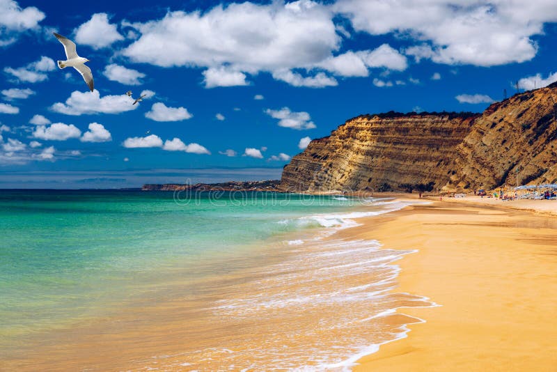 Praia de Oporto de Mos con las gaviotas que vuelan sobre la playa, Lagos, Portugal El Praia hace Oporto de Mos, Long Beach en Lag fotos de archivo Praia de Oporto de Mos con las gaviotas que vuelan sobre la playa, Lagos, Portugal El Praia hace Oporto de Mos, Long Beach en Lag fotos de archivo