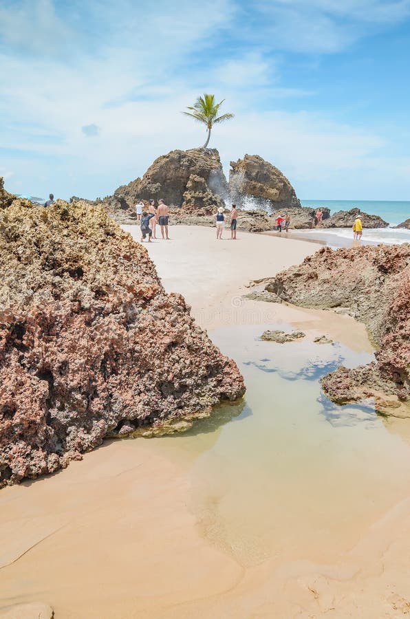 Tambaba Beach Brazil Stock Photos Free Royalty Free Stock Photos From Dreamstime