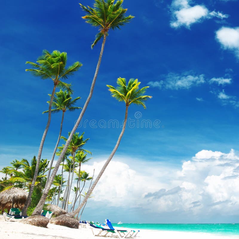 Praia do Cararibe fotografia de stock royalty free Praia do Cararibe fotografia de stock royalty free