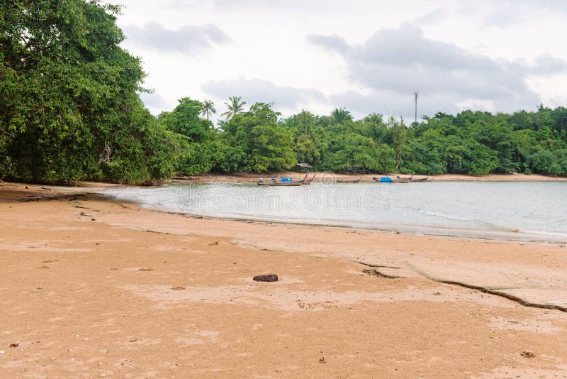 Praia natural de conchas fossilizadas ou Cemitério de Conchas imagens de stock