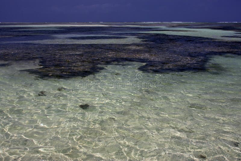 Beach and coastline in tanzania zanzibar. Beach and coastline in tanzania zanzibar