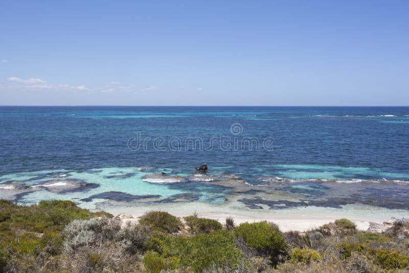 Praia na ilha de Rottnest, Austrália Ocidental, Austrália fotos de stock Praia na ilha de Rottnest, Austrália Ocidental, Austrália fotos de stock