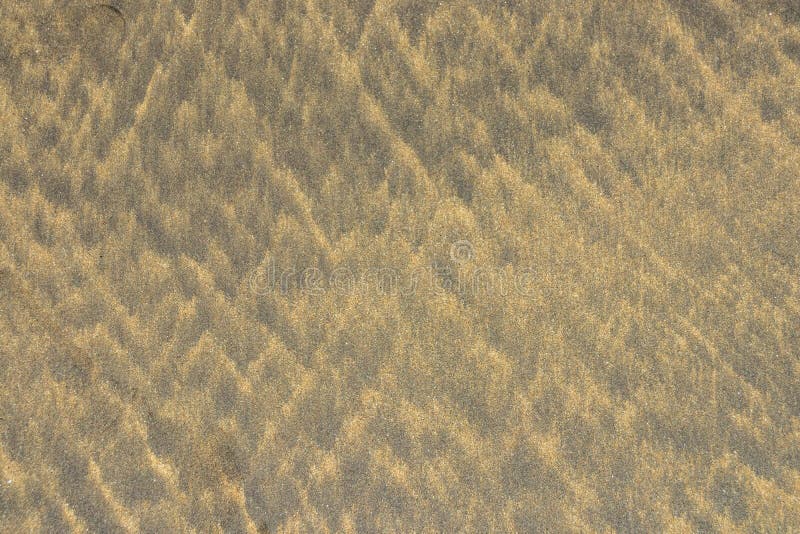 Praia natural da areia e liso molhados após o fundo da textura da ressaca Férias de verão e conceito da aventura da liberdade da imagens de stock Praia natural da areia e liso molhados após o fundo da textura da ressaca Férias de verão e conceito da aventura da liberdade da imagens de stock