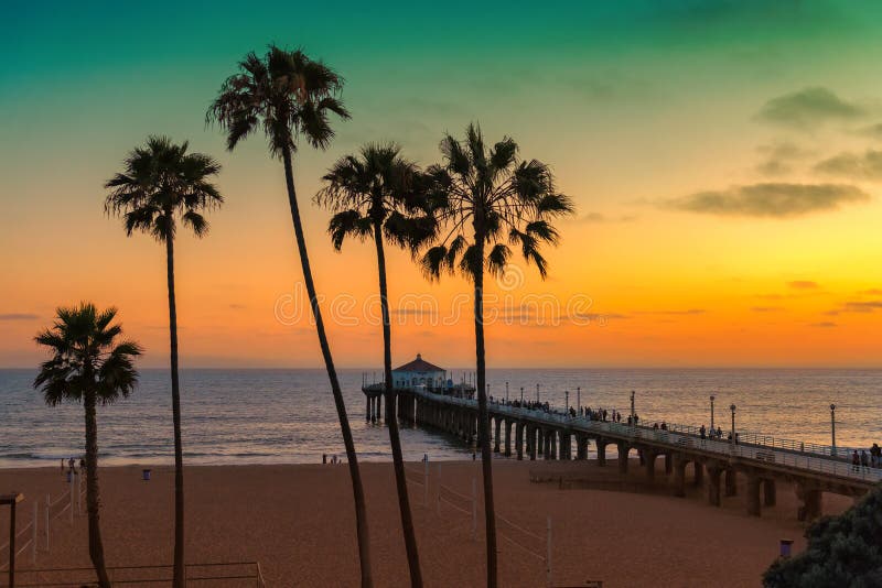 Palm trees on Manhattan Beach at sunset in California, Los Angeles, USA. Vintage processed. Fashion travel and tropical beach concept. Palm trees on Manhattan Beach at sunset in California, Los Angeles, USA. Vintage processed. Fashion travel and tropical beach concept.