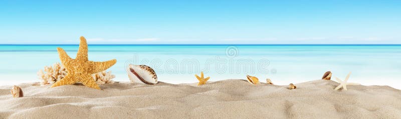 Praia tropical com a estrela de mar na areia, fundo das férias de verão