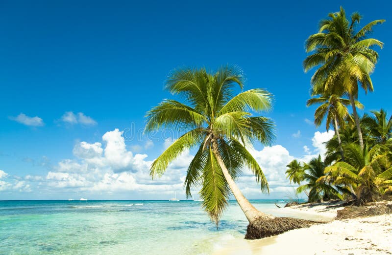 Praia tropical idílico imagem de stock royalty free Praia tropical idílico imagem de stock royalty free