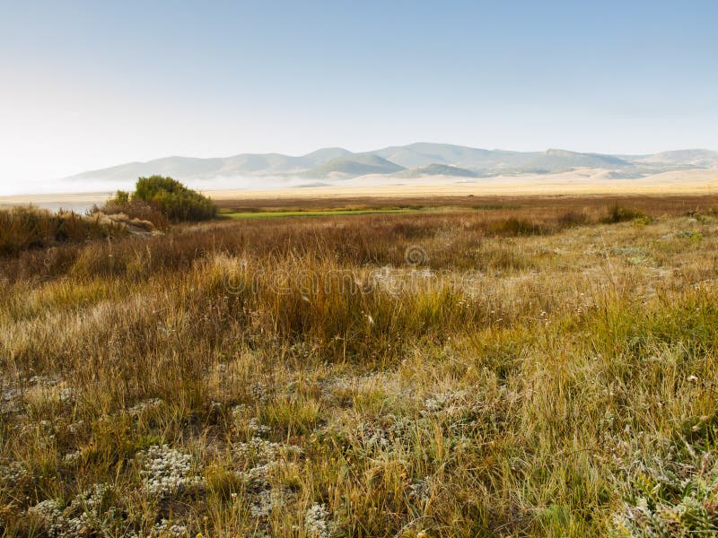 Prairie stock photo. Image of shrubland, colorado, morning 26893820