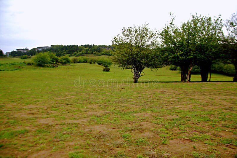 Prairie féerique de montagne de Wulong image libre de droits Prairie féerique de montagne de Wulong image libre de droits