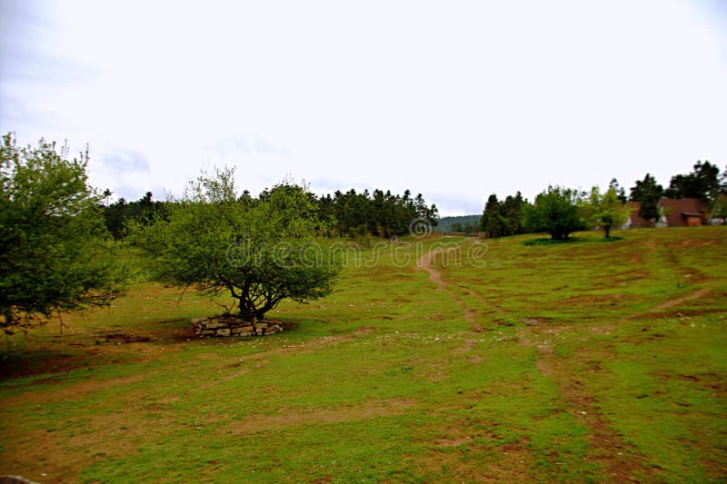 Prairie féerique de montagne de Wulong image stock Prairie féerique de montagne de Wulong image stock