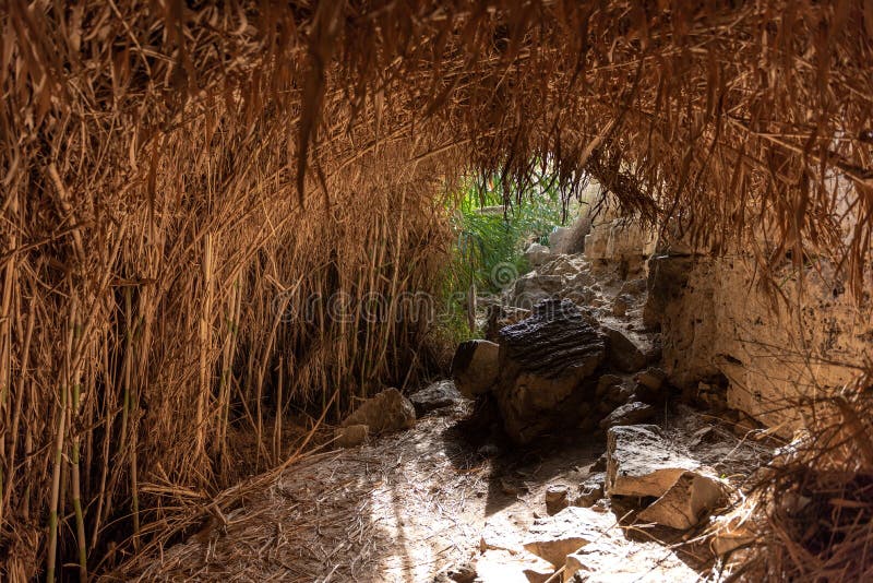 Prat-Fluss In Israel Wadi Qelt-Tal Im Westjordanland Stockbild - Bild