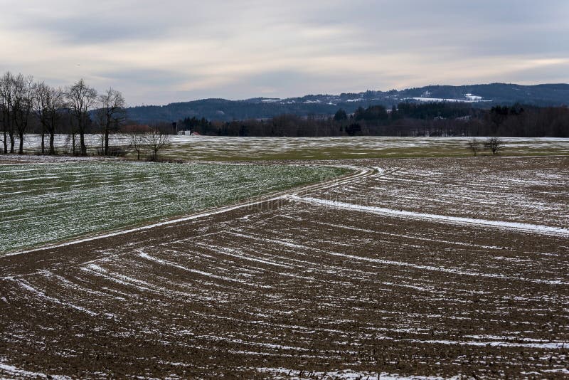 Prati congelati variopinti e campi con una poca neve immagine stock libera da diritti Prati congelati variopinti e campi con una poca neve immagine stock libera da diritti